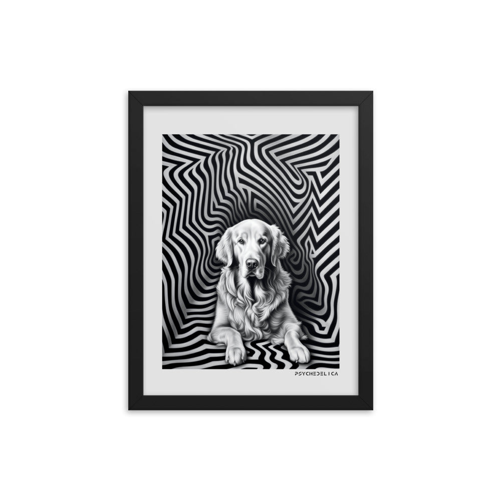 Golden Retriever Animalia Framed Poster