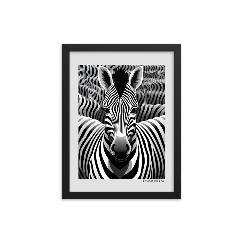 Zebra Animalia Framed Poster