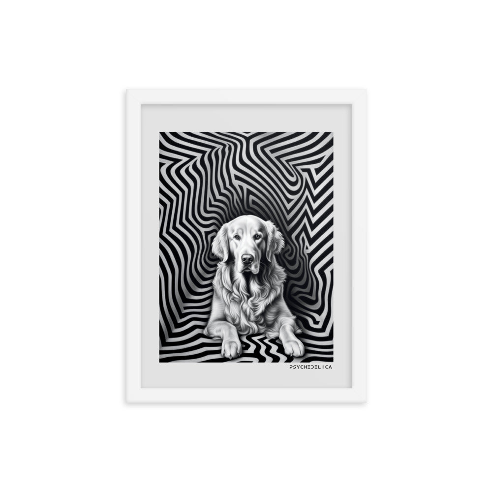 Golden Retriever Animalia Framed Poster