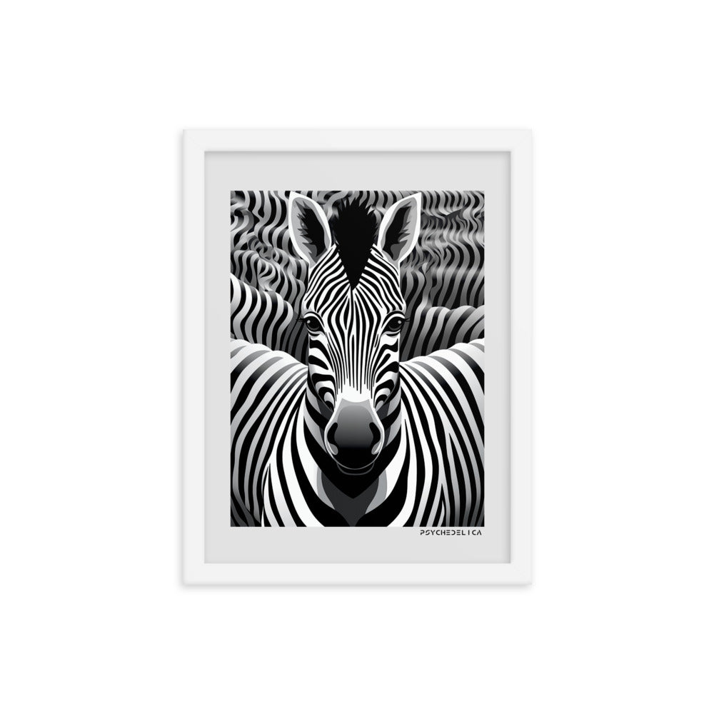 Zebra Animalia Framed Poster