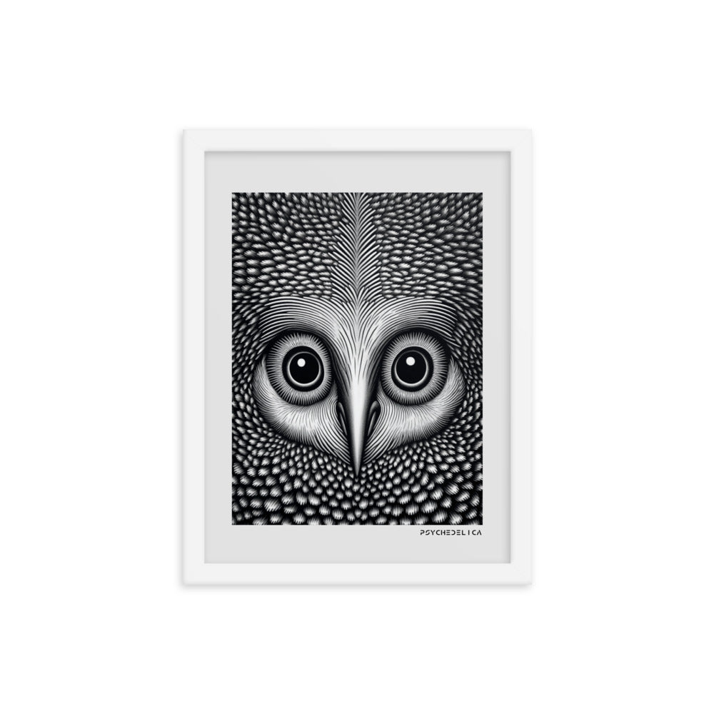 Owl Animalia Framed Poster