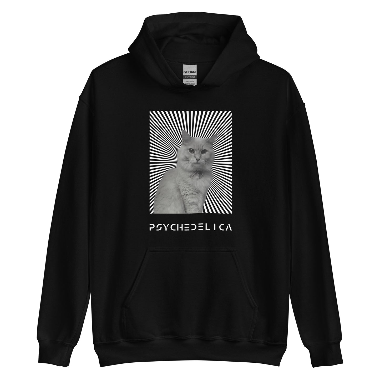 Cat Dyno Illusion Unisex Hoodie