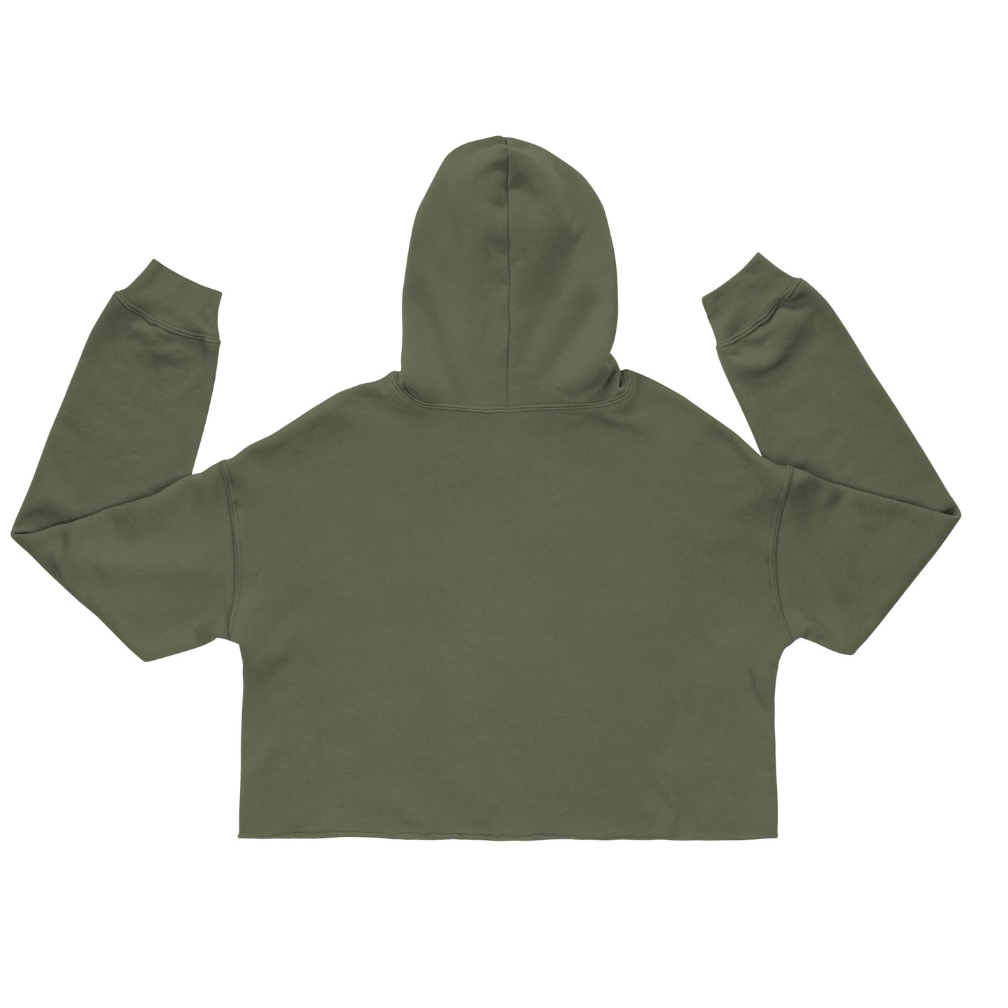 PA Summer Cropped Hoodie