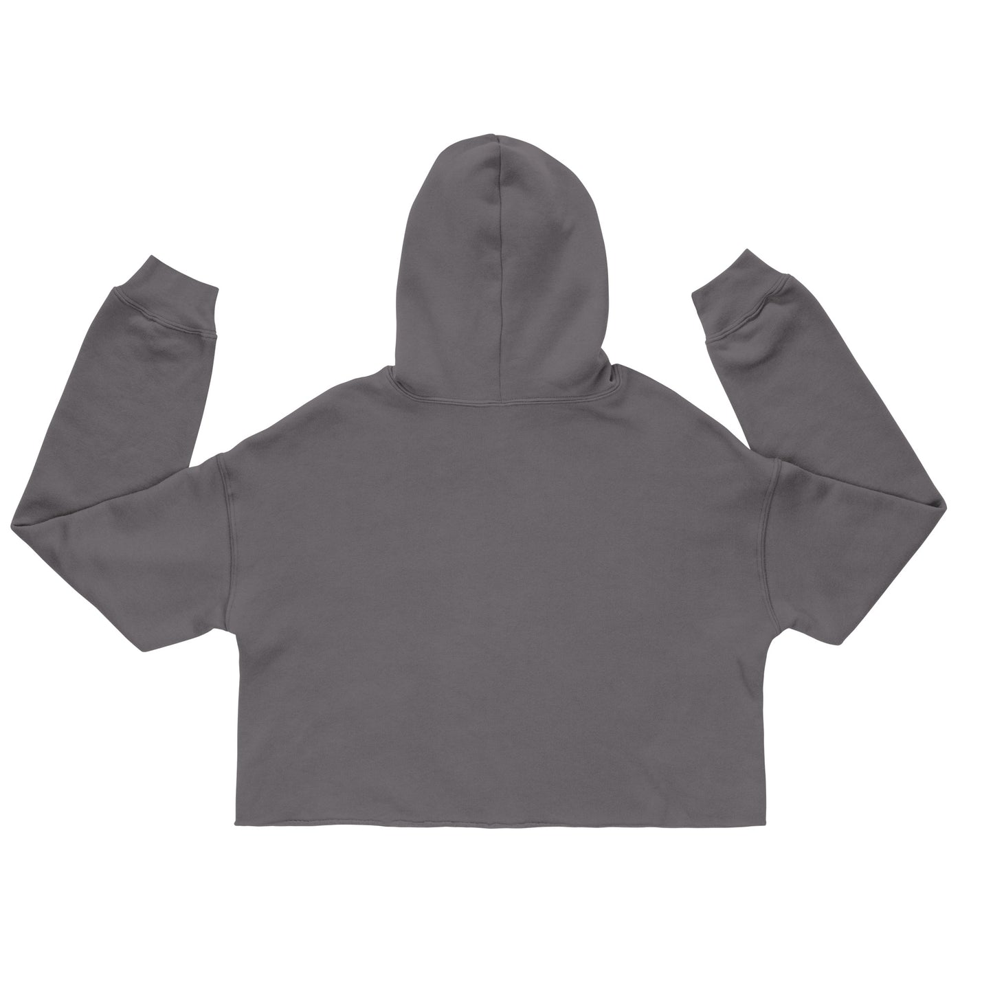 PA Summer Cropped Hoodie