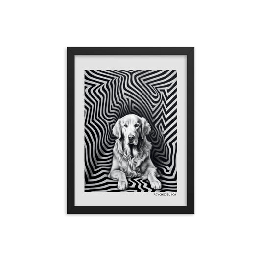 Golden Retriever Animalia Framed Poster