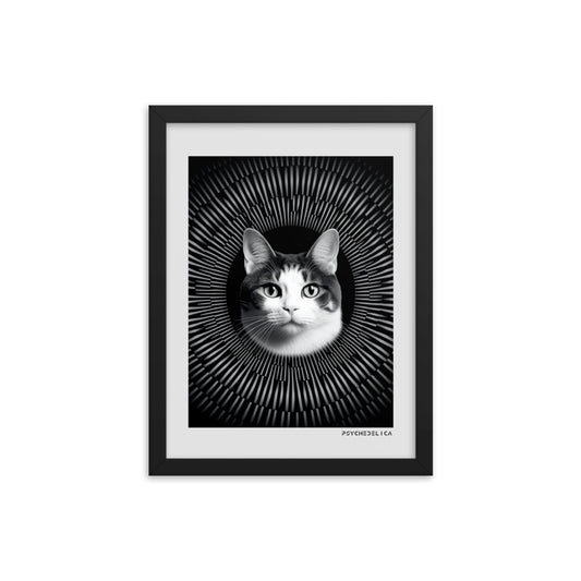 Cat Animalia Framed Poster