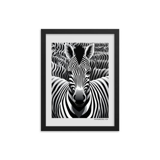 Zebra Animalia Framed Poster