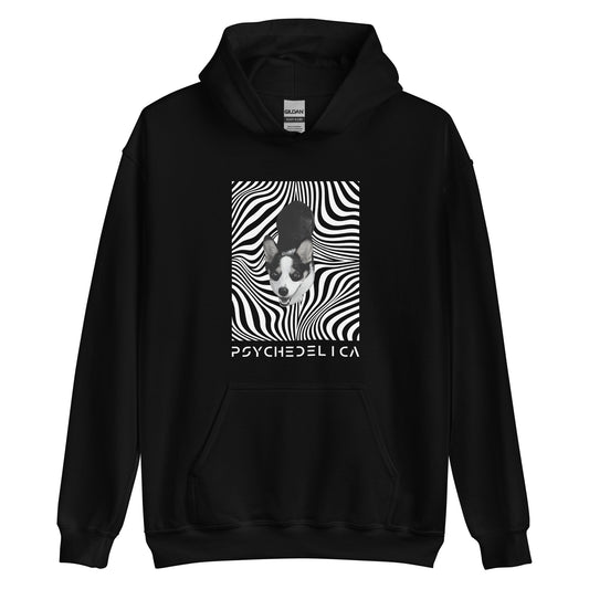 Corgi Dyno Illusion Unisex Hoodie