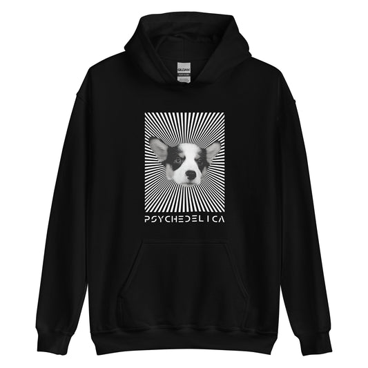 Flying Corgi Illusion Dyno Unisex Hoodie